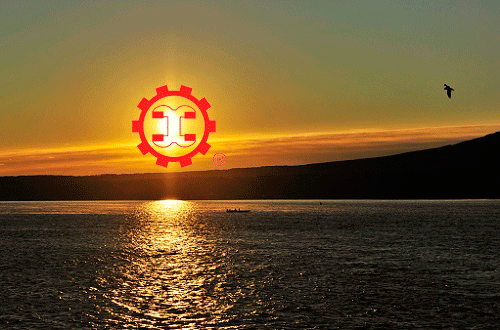 11215832_0.gif